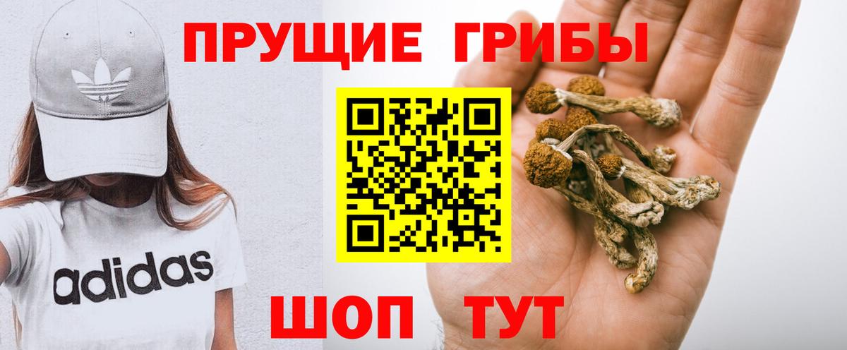 Галлюциногенные грибы Cubensis  Вход с VPN  Галлюциногенные грибы GOLDEN TEACHER  Барнаул 